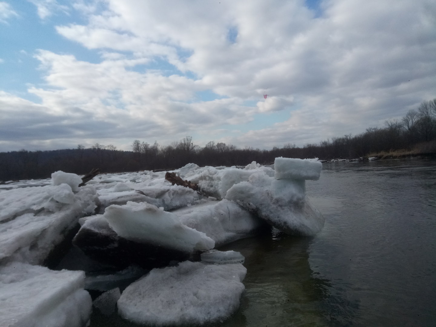 P20109-124444[1].jpg
