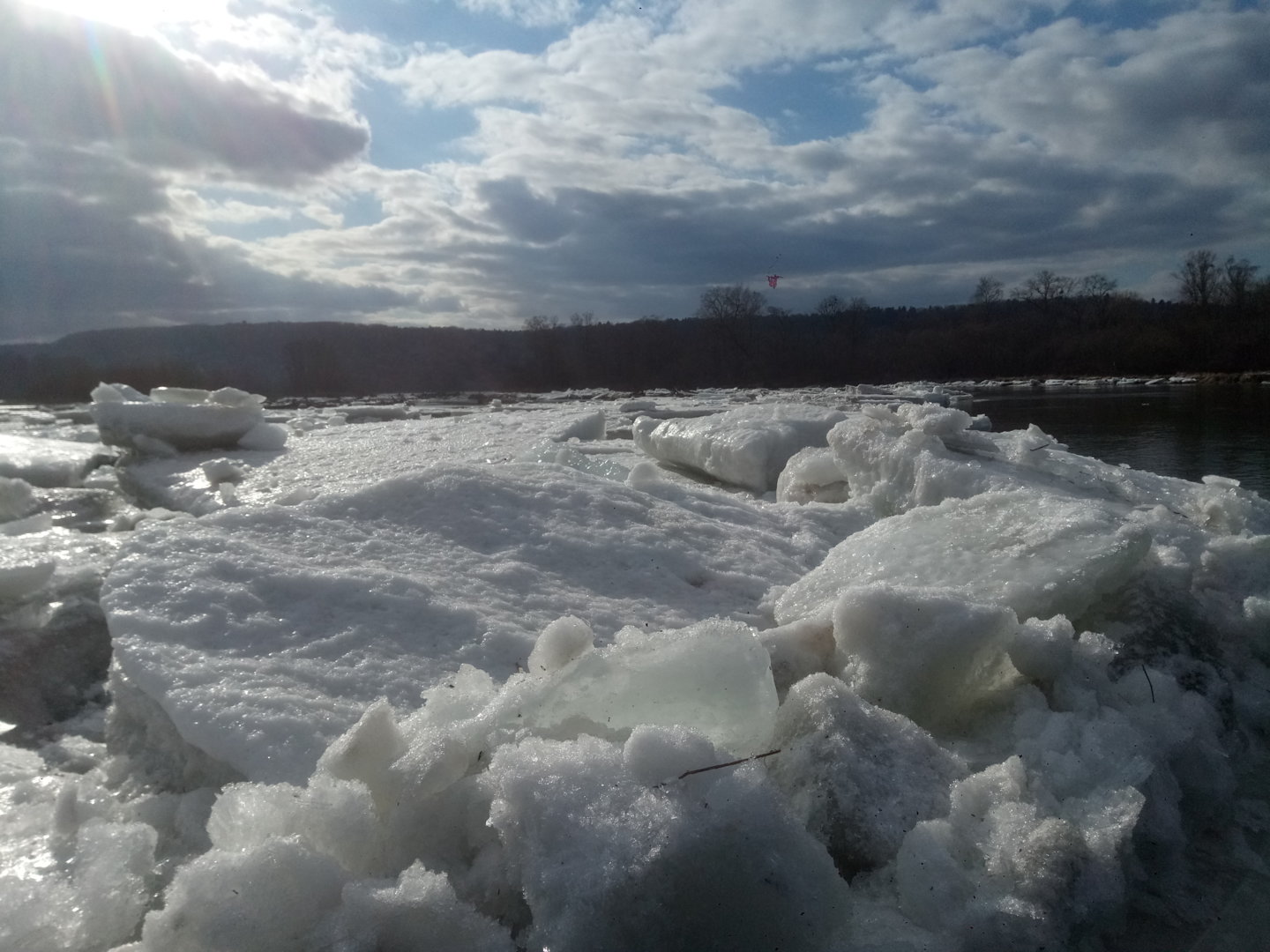 P20109-125020[1].jpg