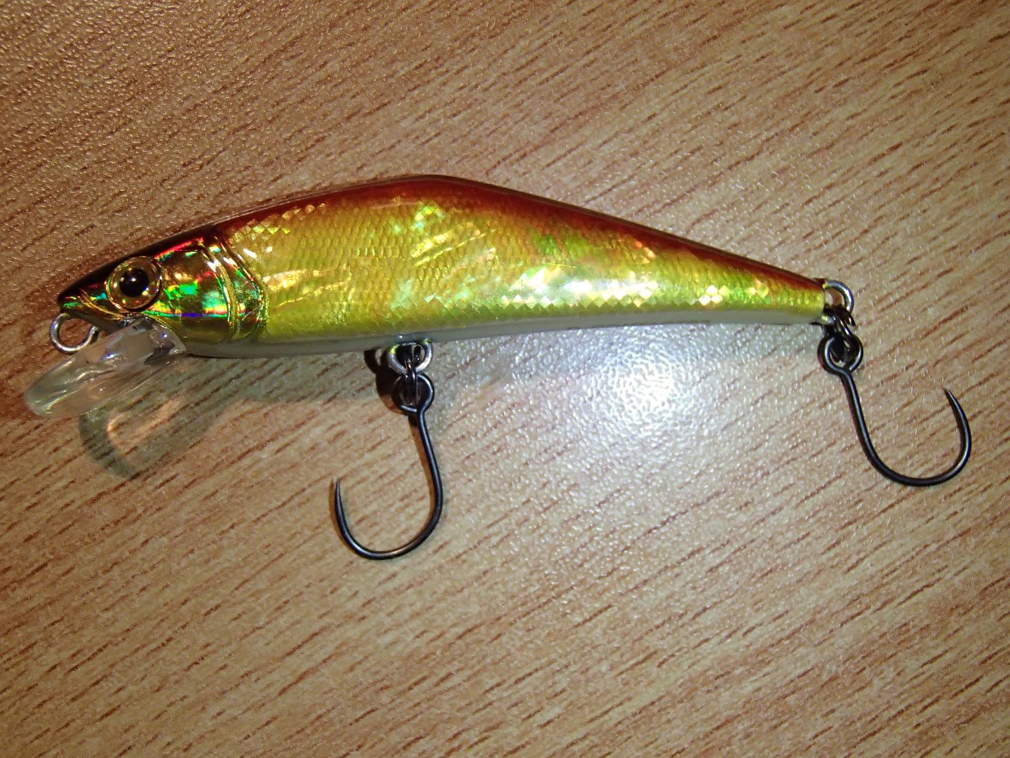 P2040384.JPG