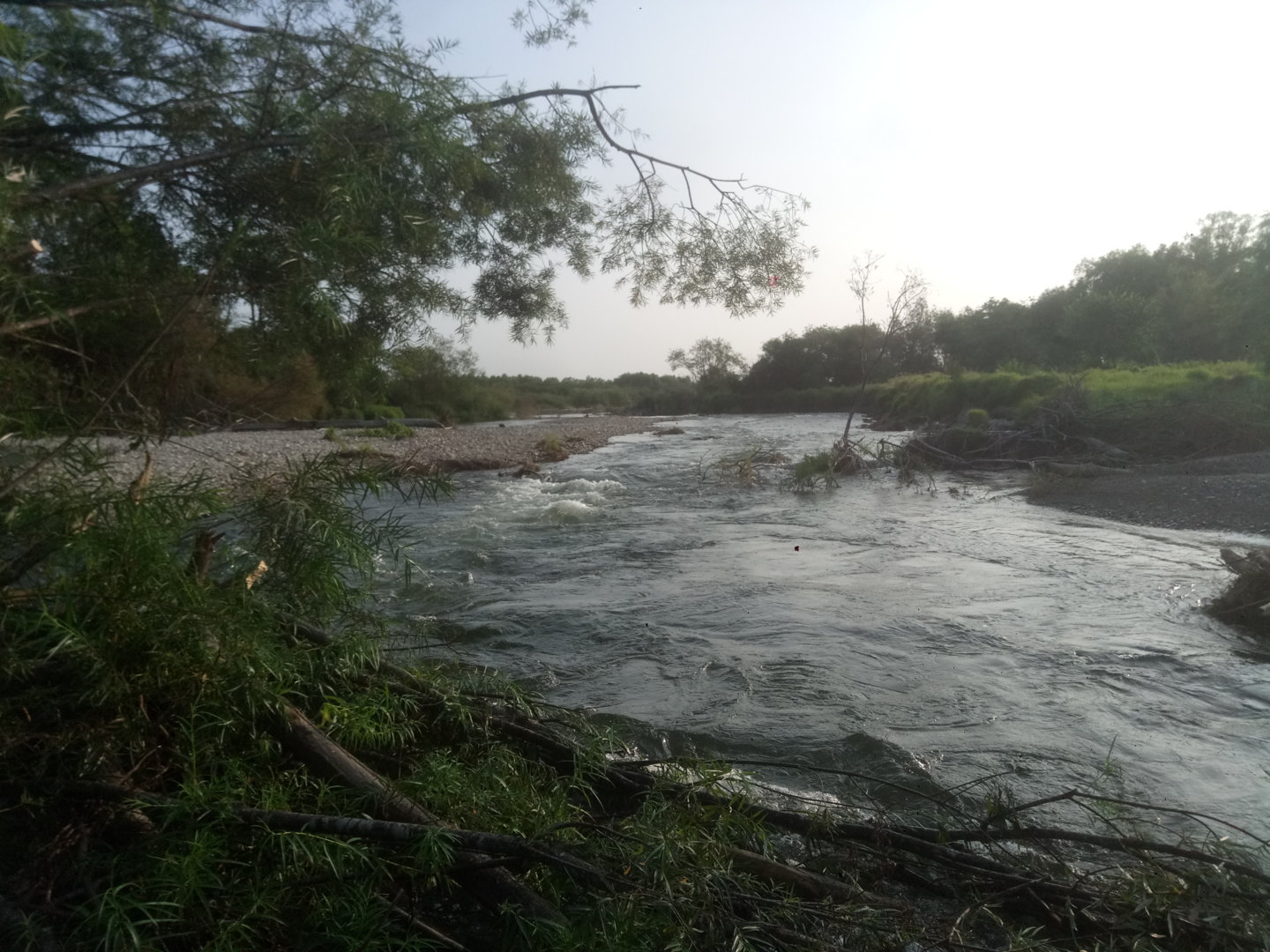 P20521-141216[1].jpg