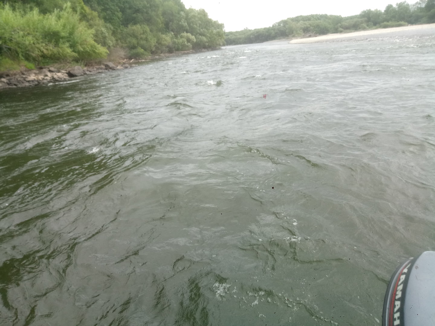 P20523-060629[1].jpg
