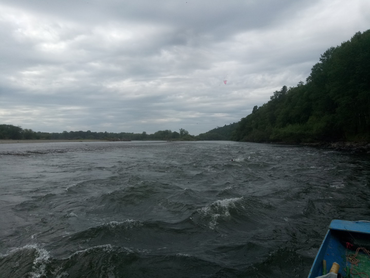 P20523-060700[1].jpg