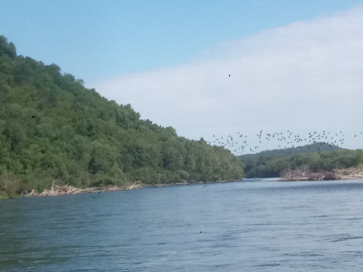 P20601-065658[1].jpg