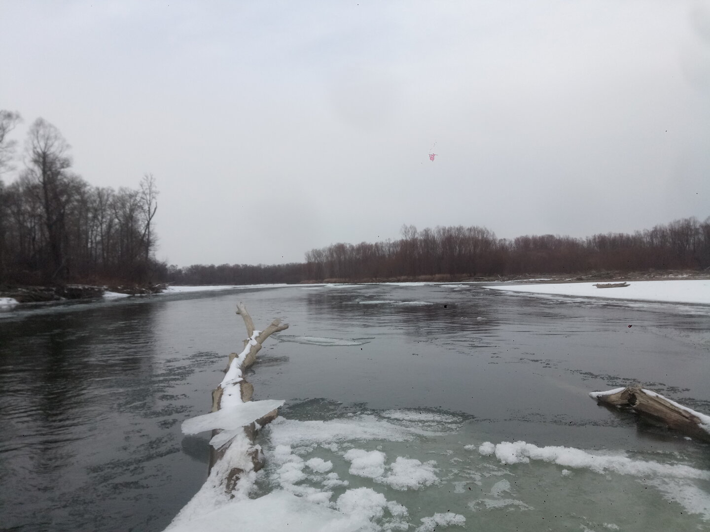 P20820-101754[1].jpg