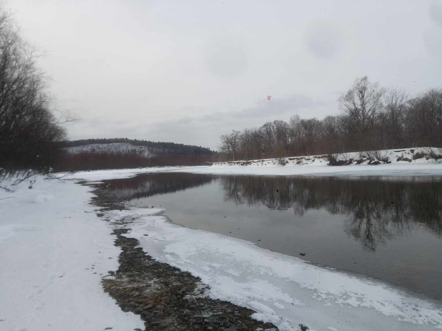 P20911-115252[1].jpg