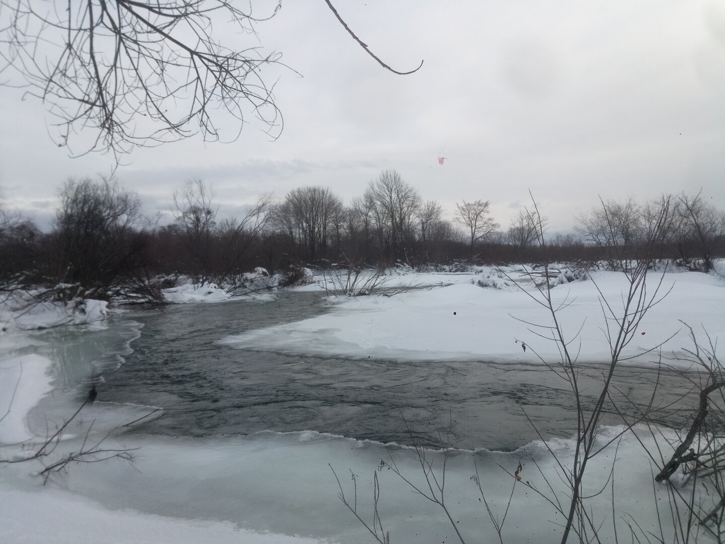 P20911-115919[1].jpg
