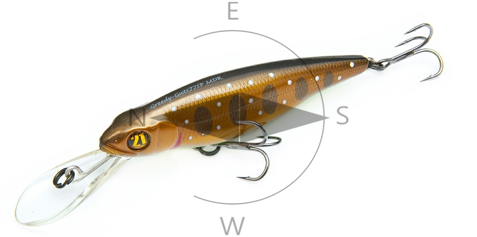 P21 lures D-L NL_0039_Greedy Guts 77SP MDR.jpg