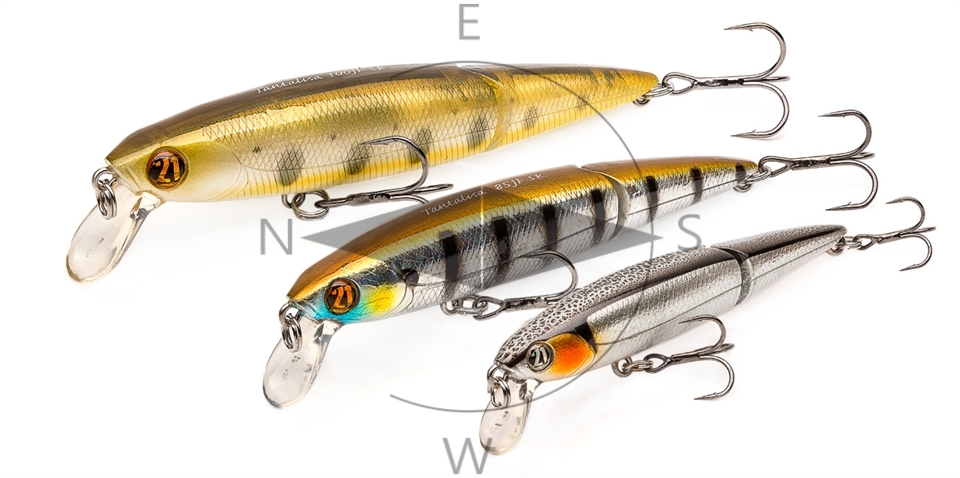 P21 lures M-Z NL_0007_Tantalisa.jpg
