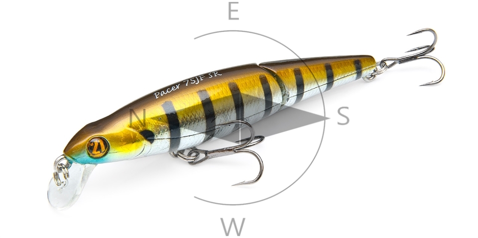 P21 lures M-Z NL_0057_Pacer 75JF SR.jpg