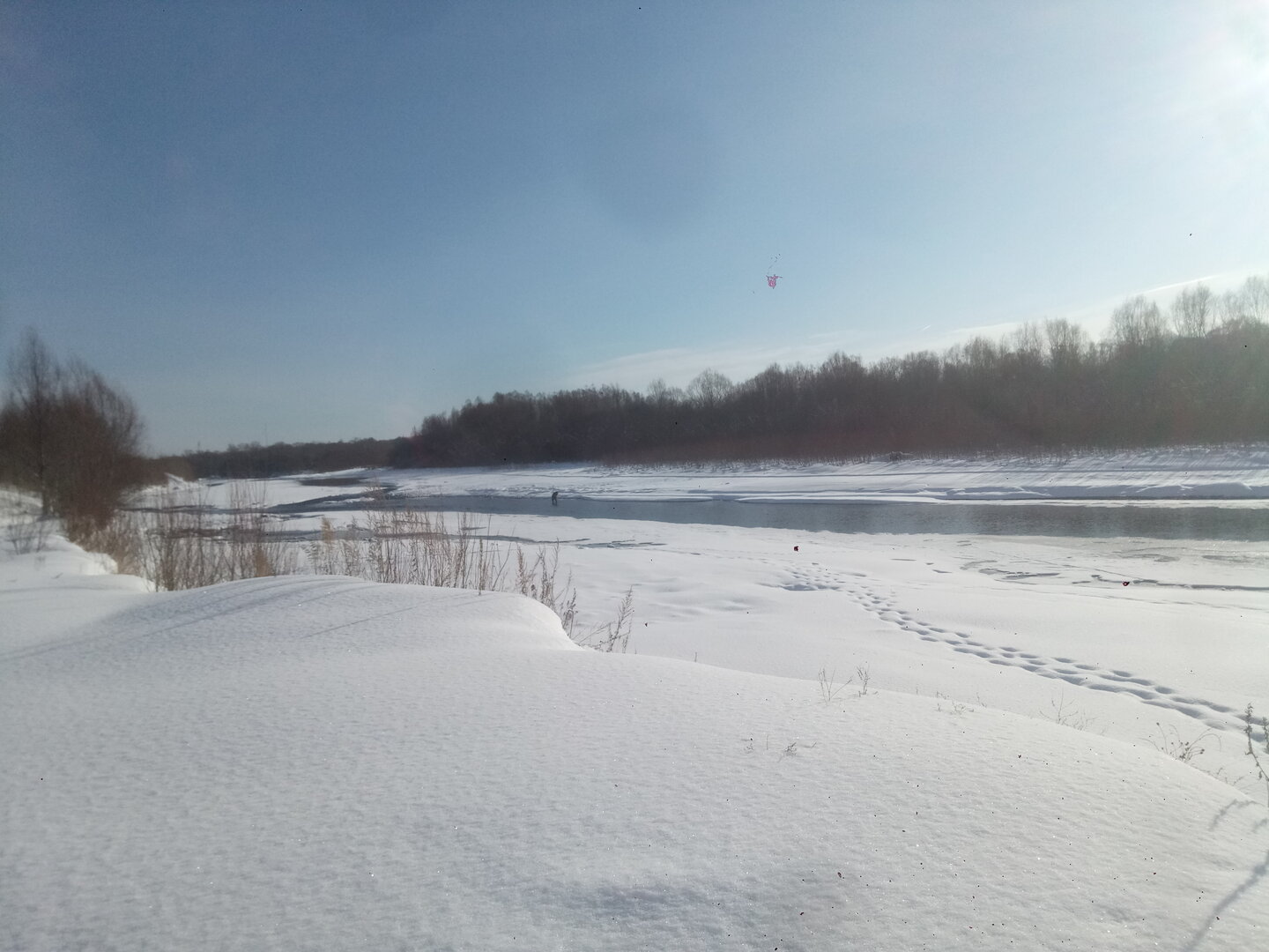 P21017-104830[1].jpg