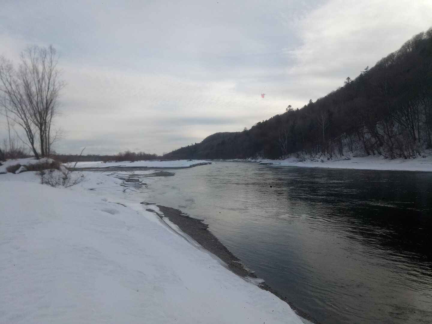 P21222-133540[1].jpg