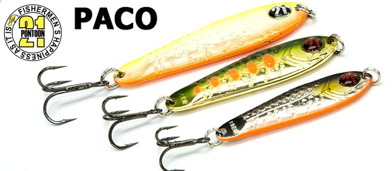 P21_paco_enl.jpg
