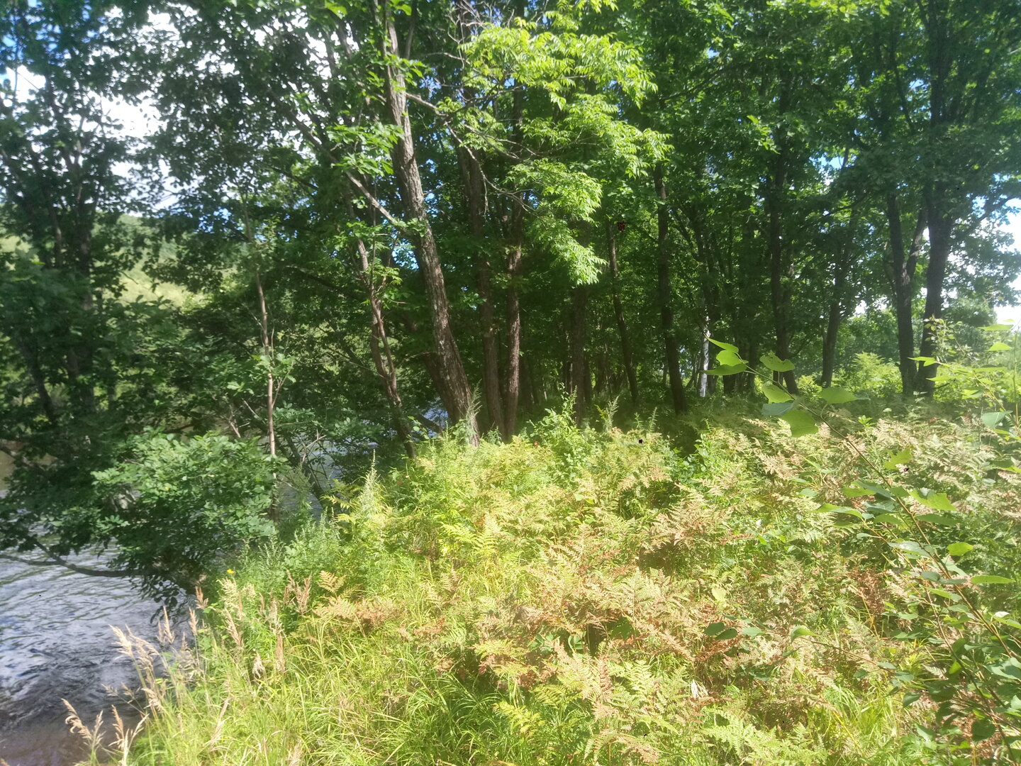 P30517-071659[1].jpg