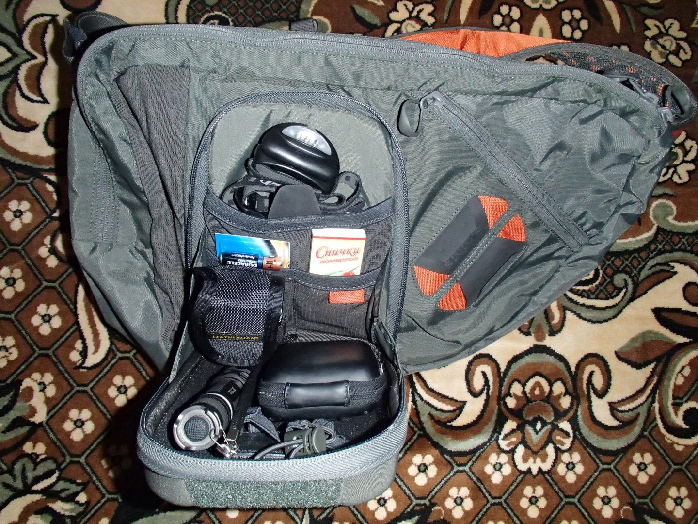 P3150002.JPG