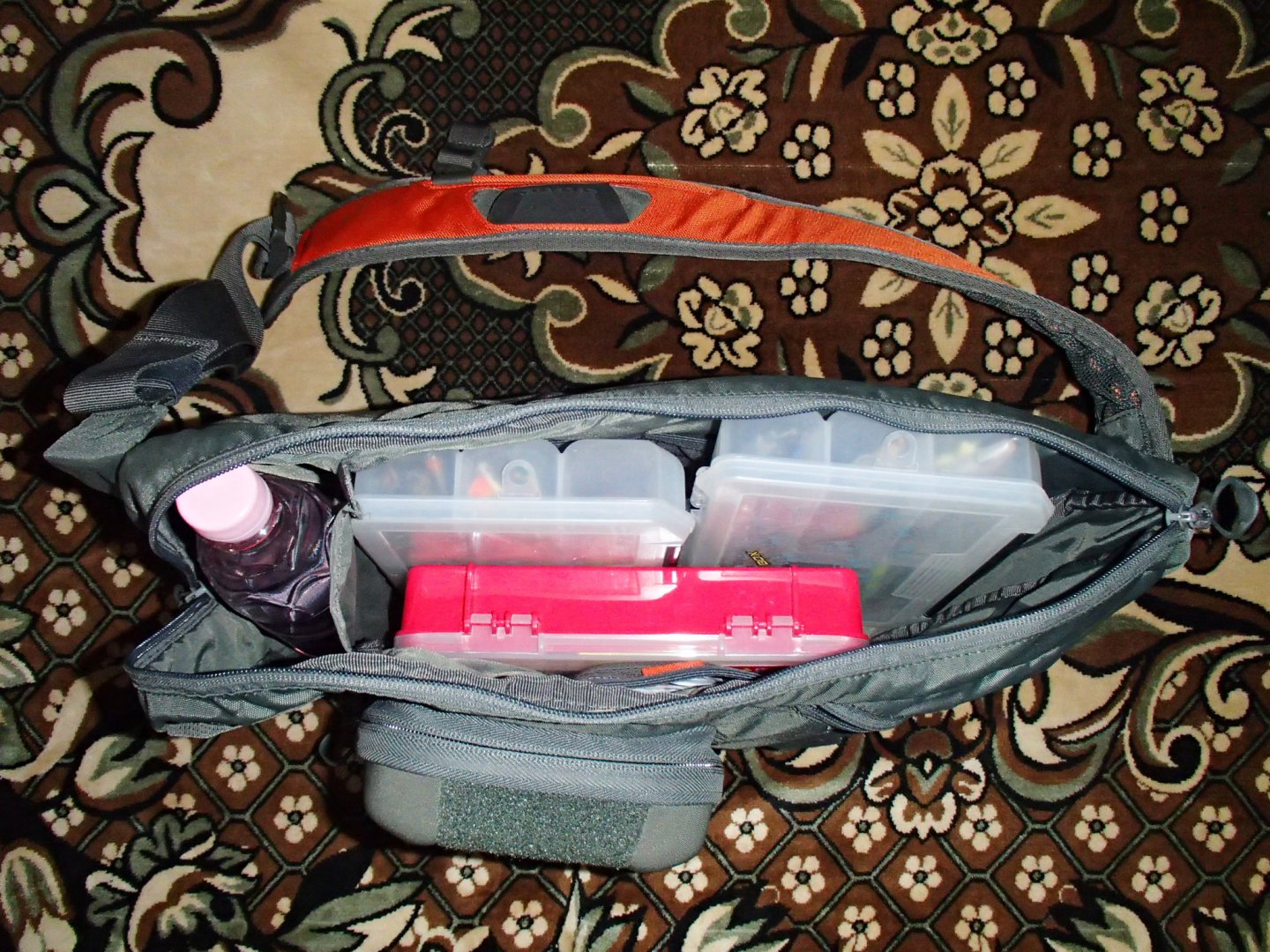 P3150004.JPG