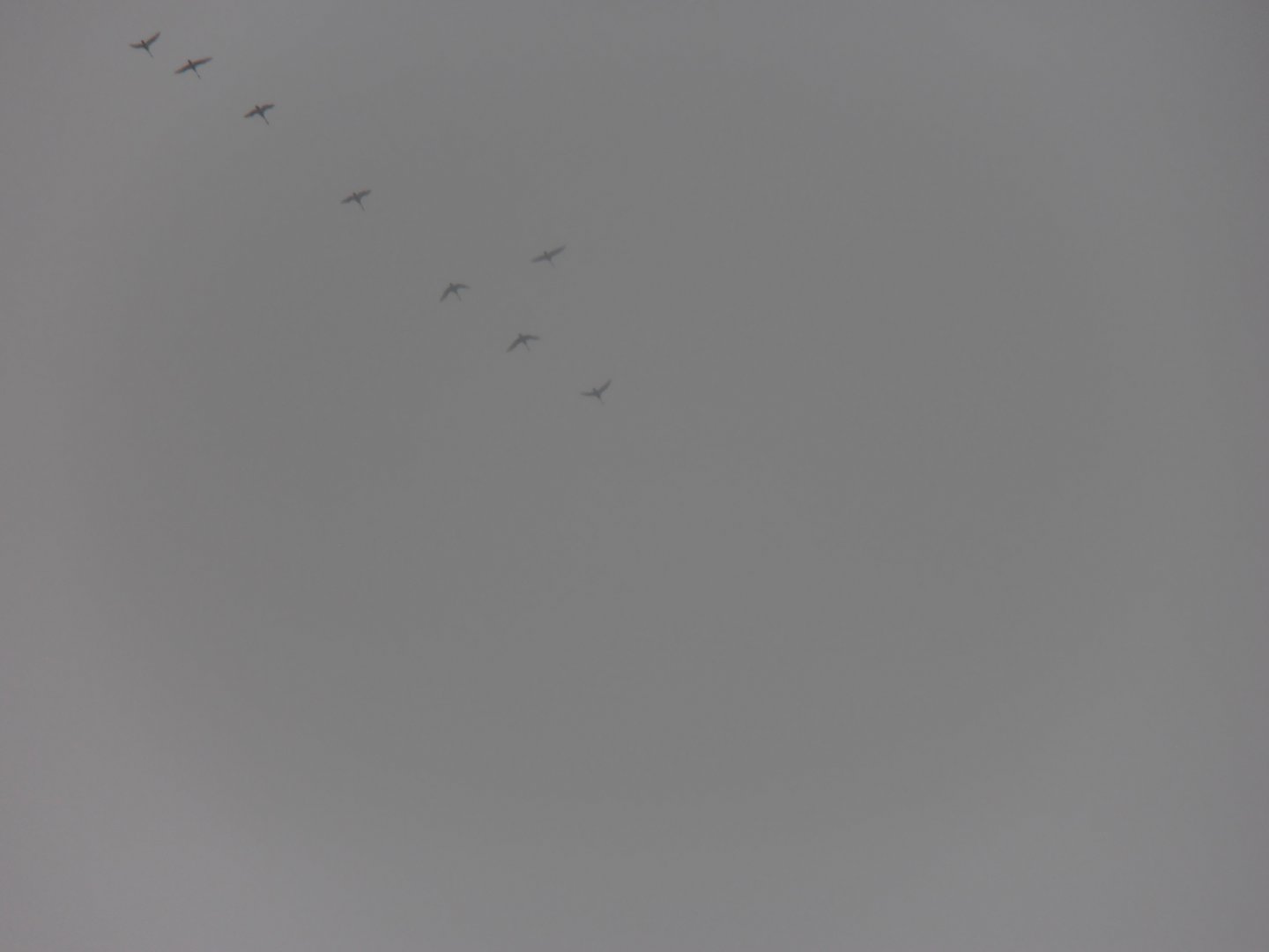 P3270083.JPG