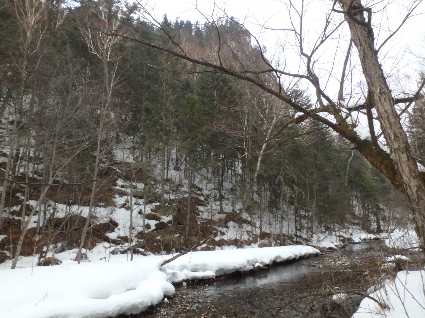 P3310103.JPG