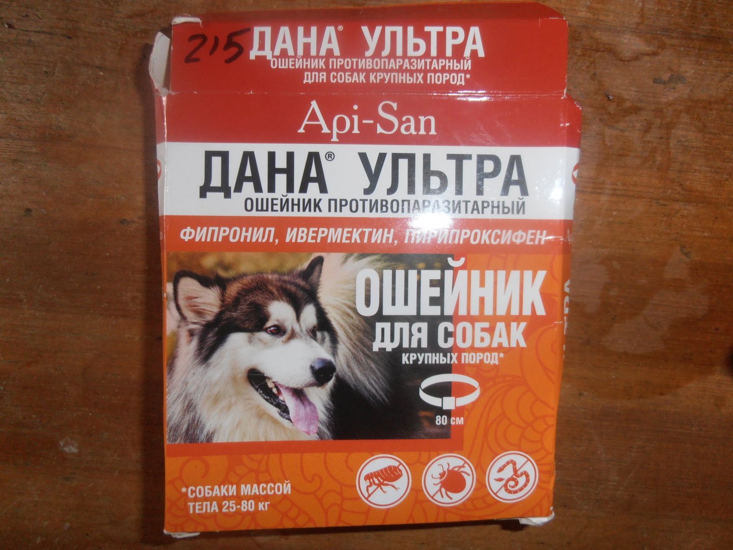 P4120186.JPG