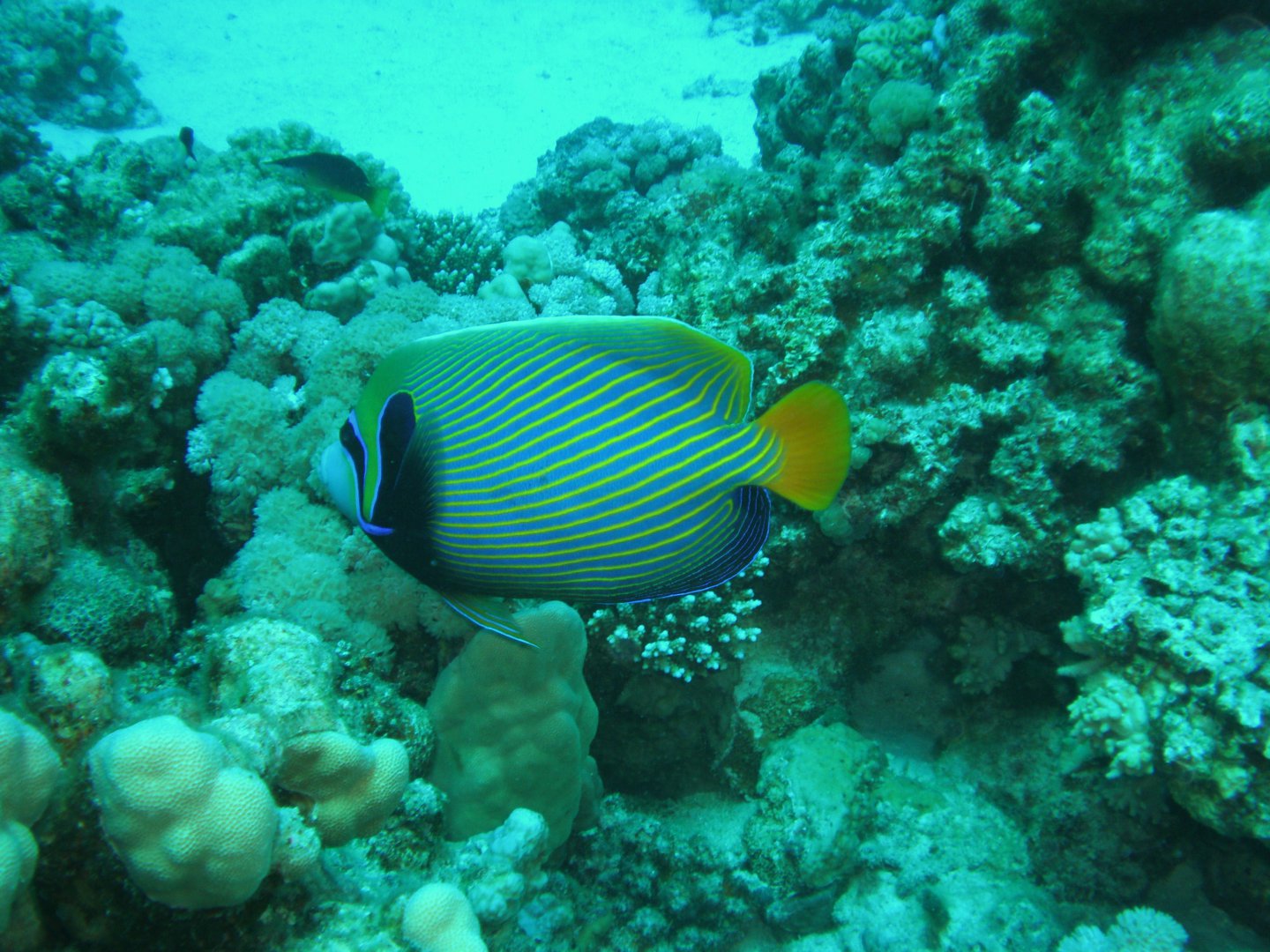 P4151486.JPG