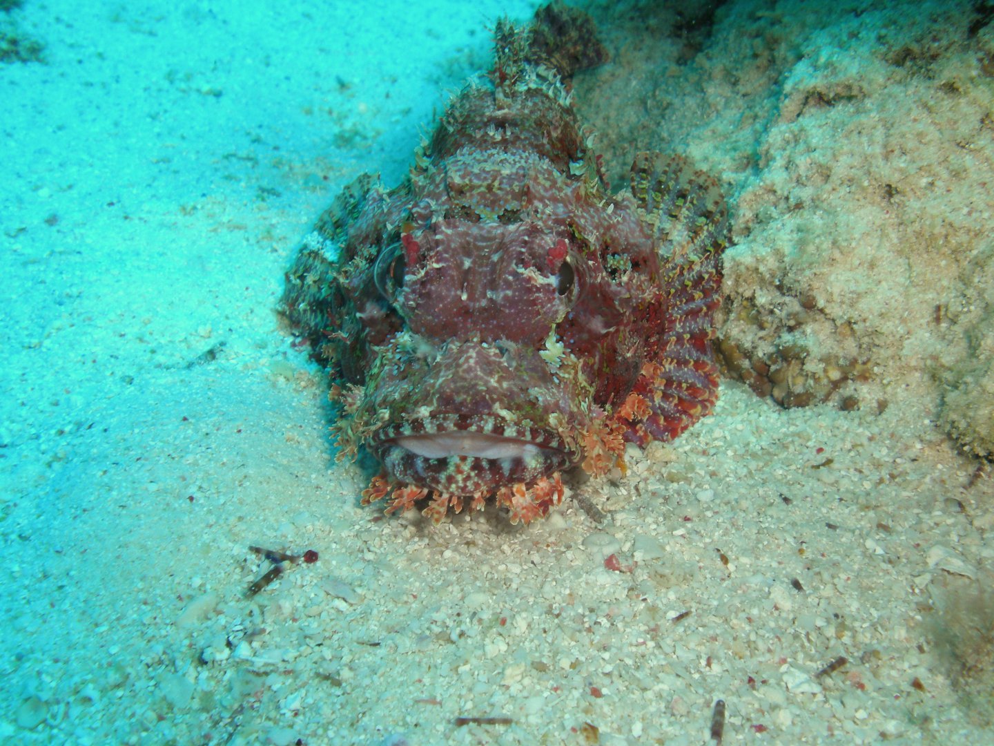 P4151495.JPG