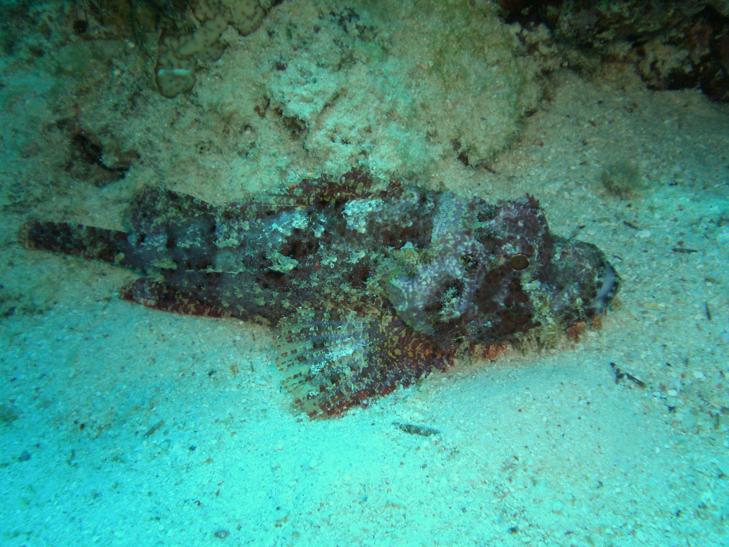 P4151496.JPG