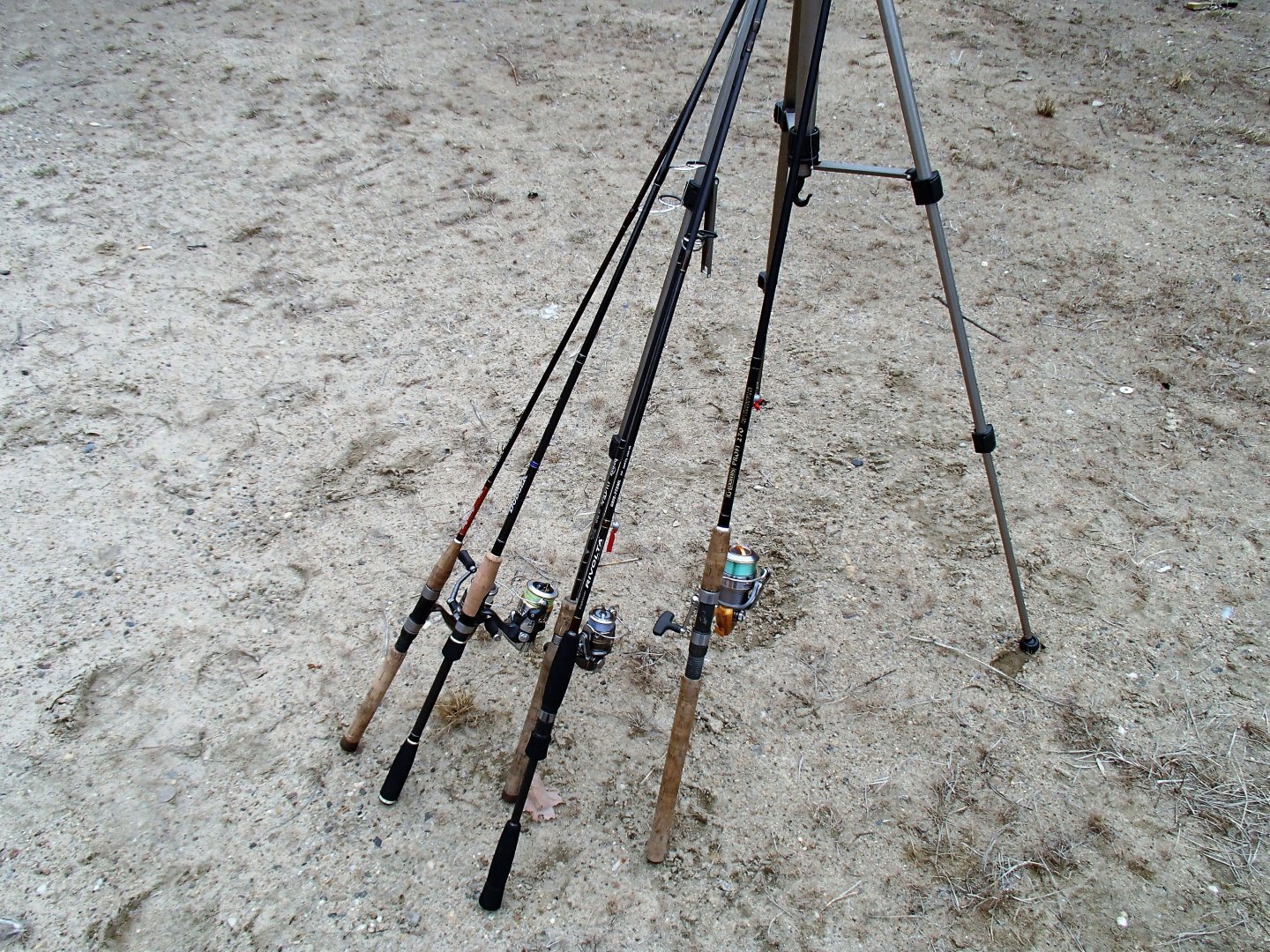 P4170021.JPG