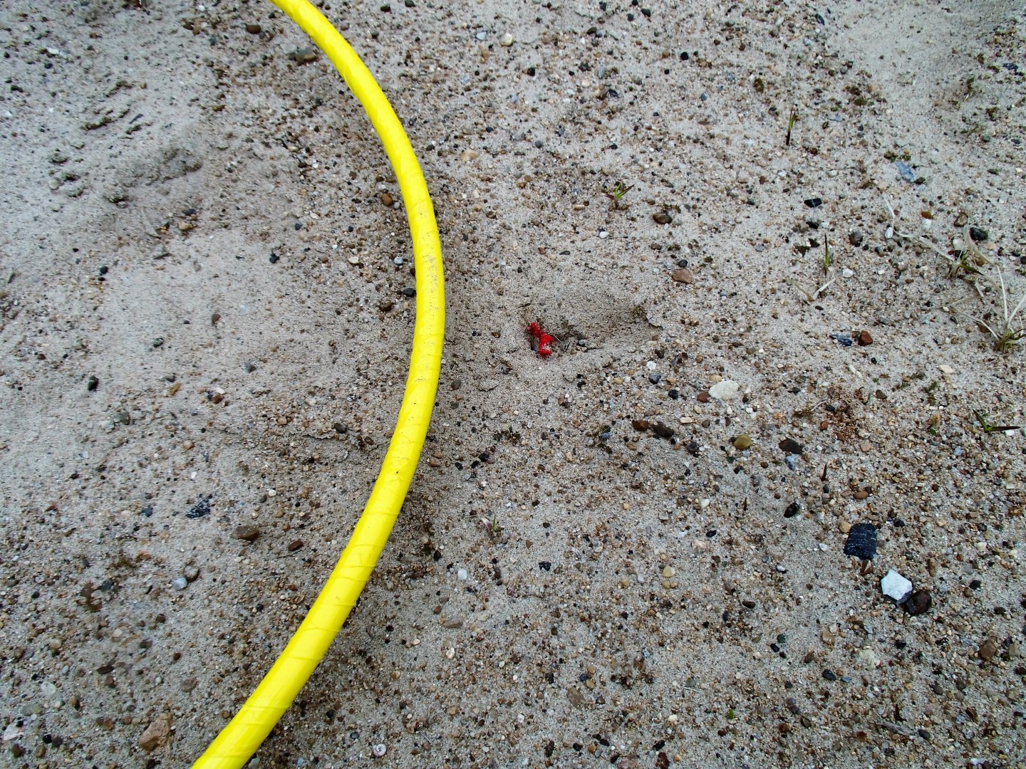 P4170070.JPG