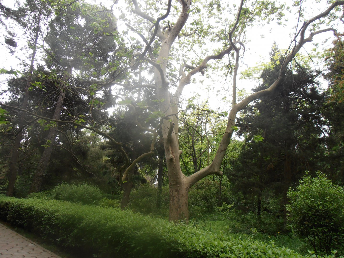 P5240628.JPG