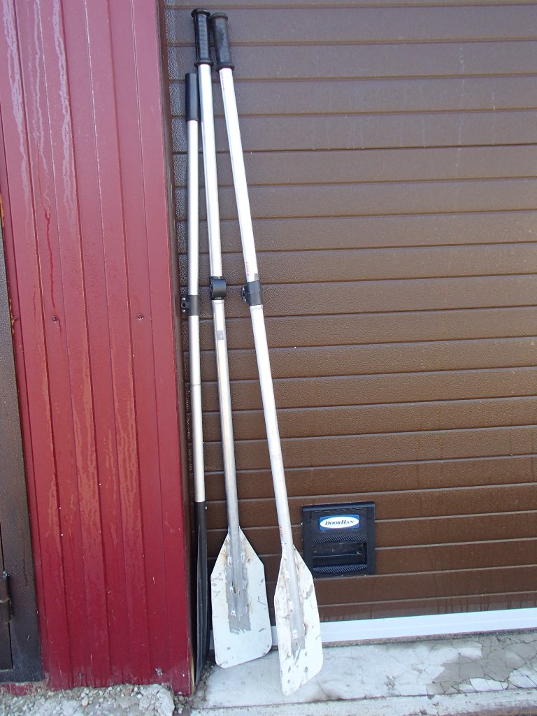 P5261859.JPG
