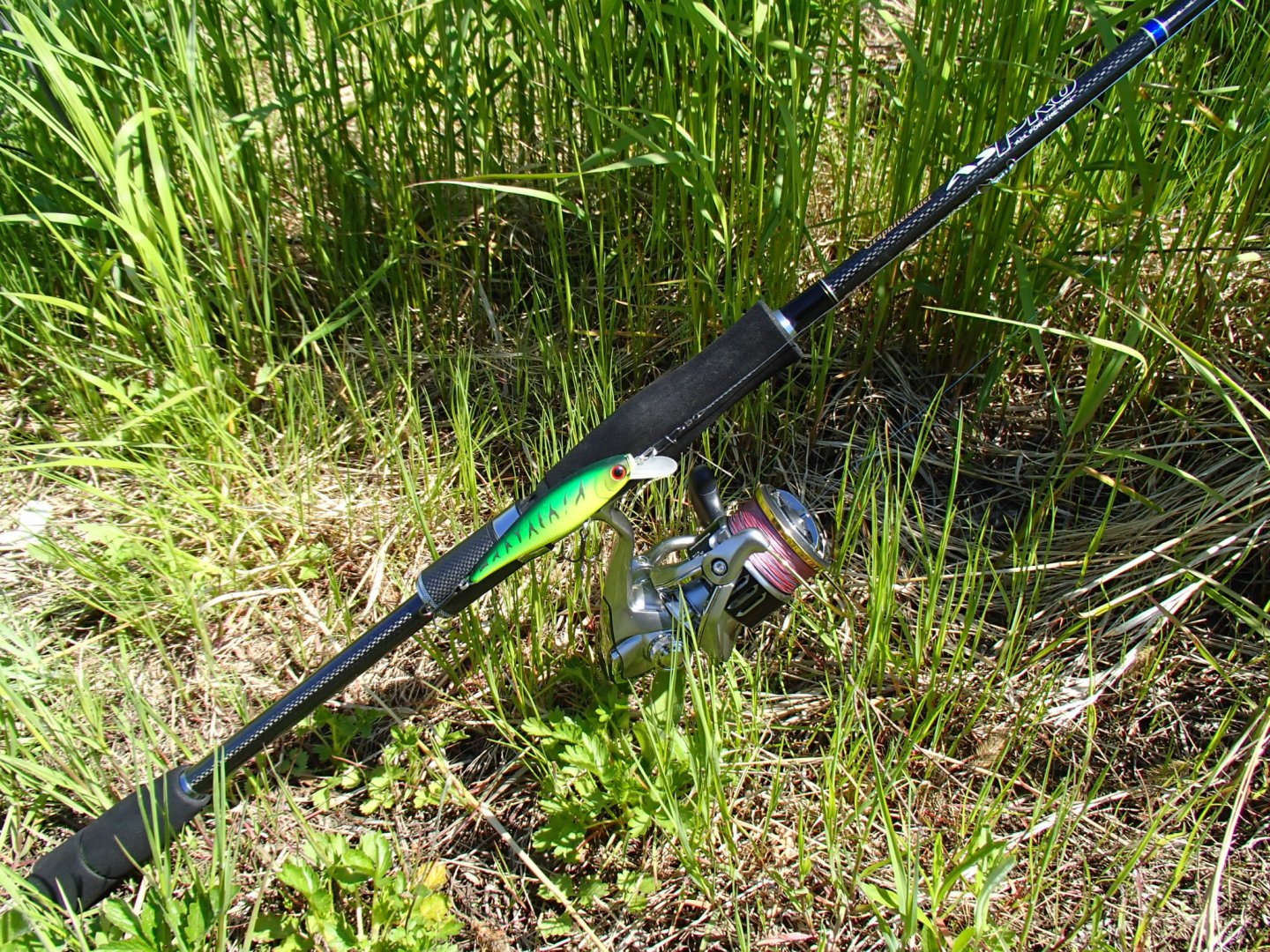 P5270003.JPG