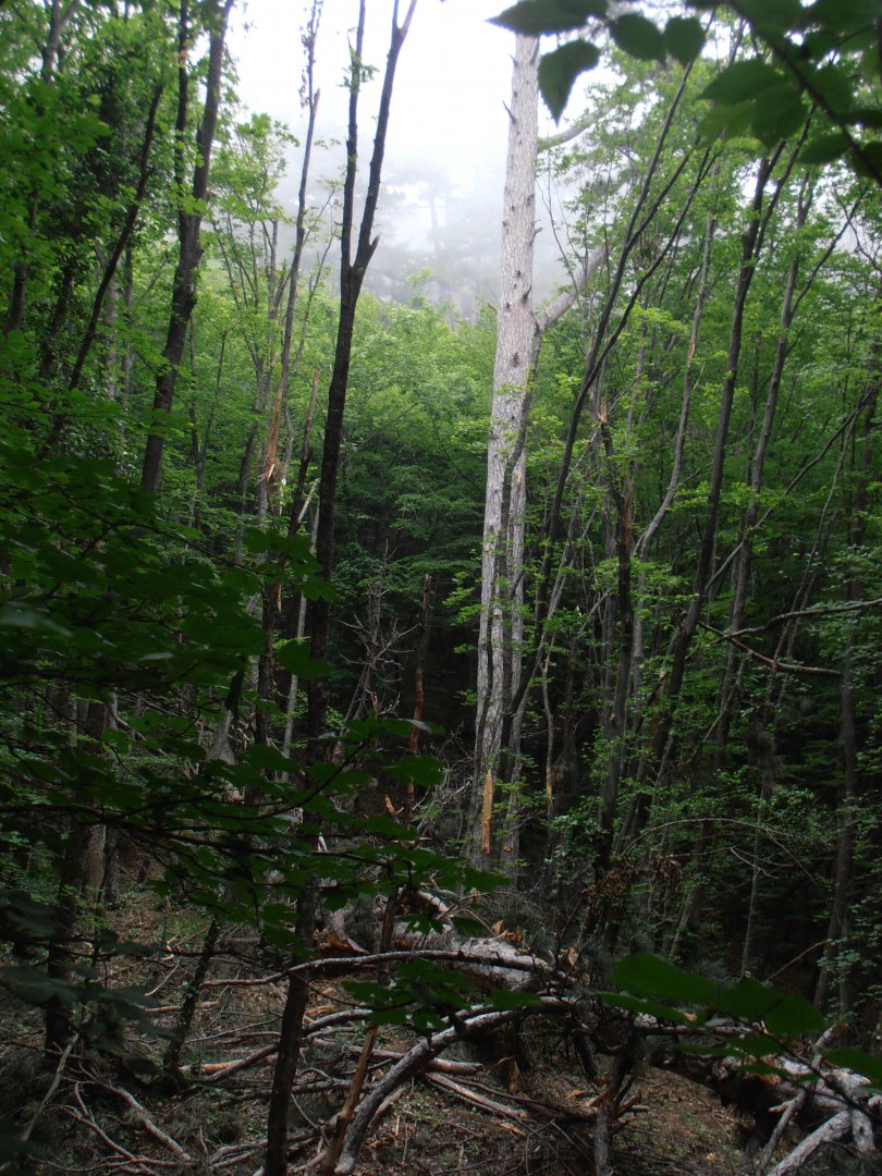 P5270677.JPG
