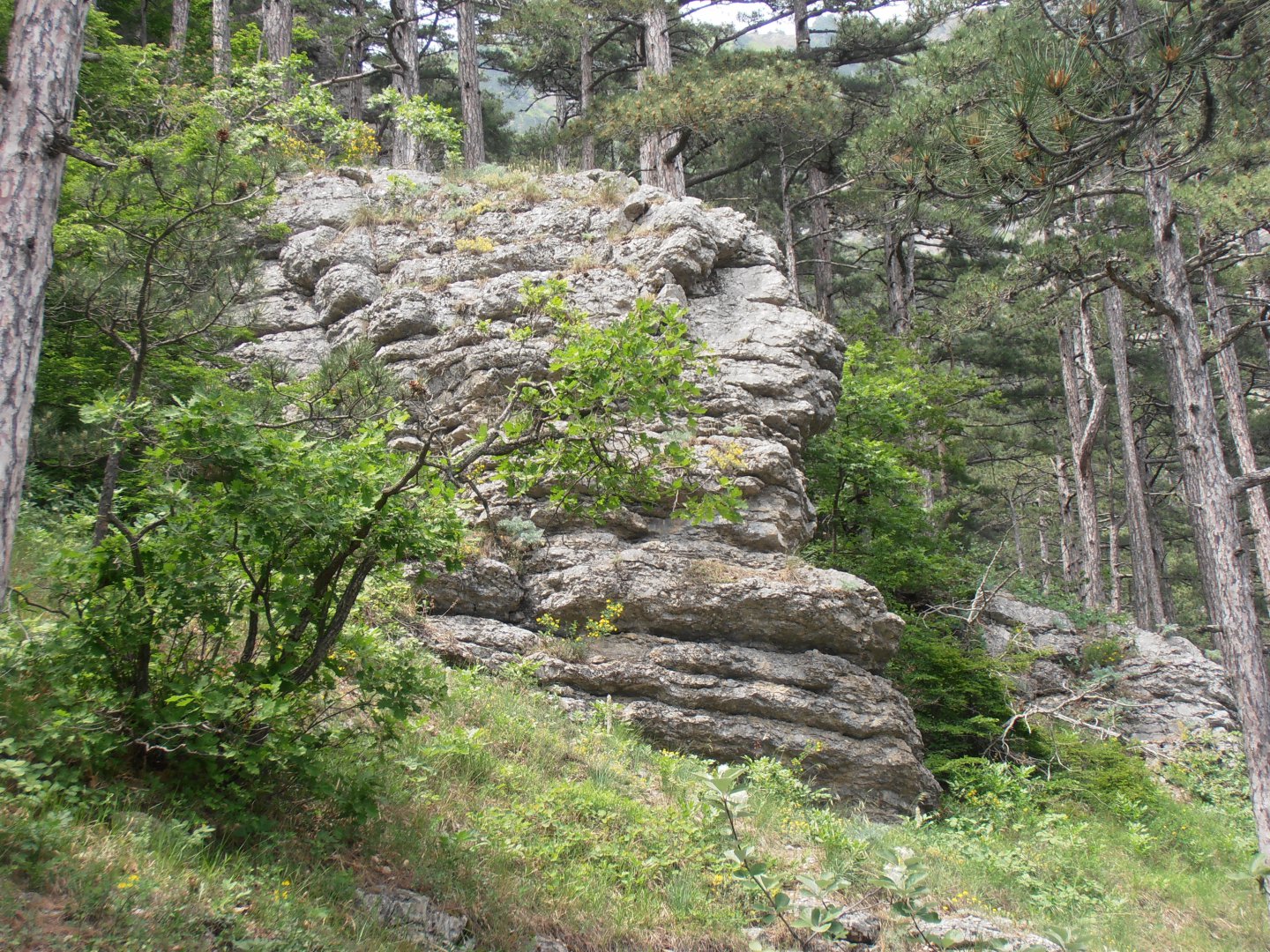 P5270705.JPG