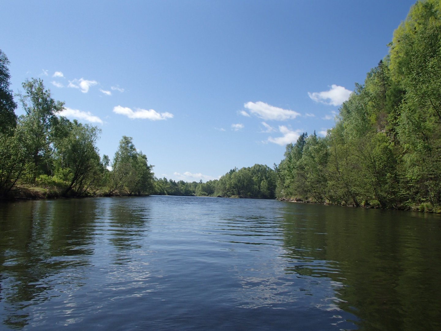 P5291875.JPG