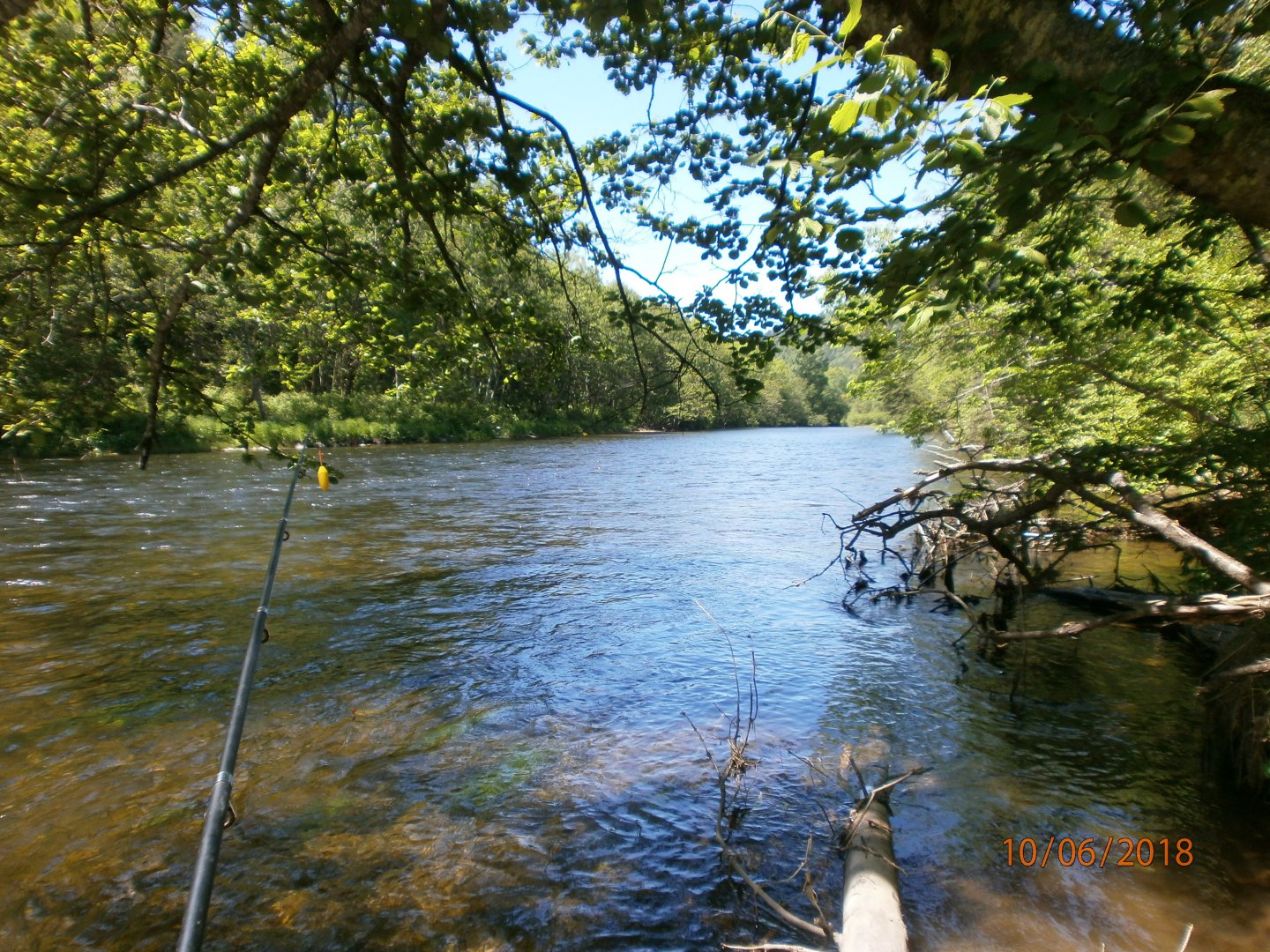 P6100015.JPG