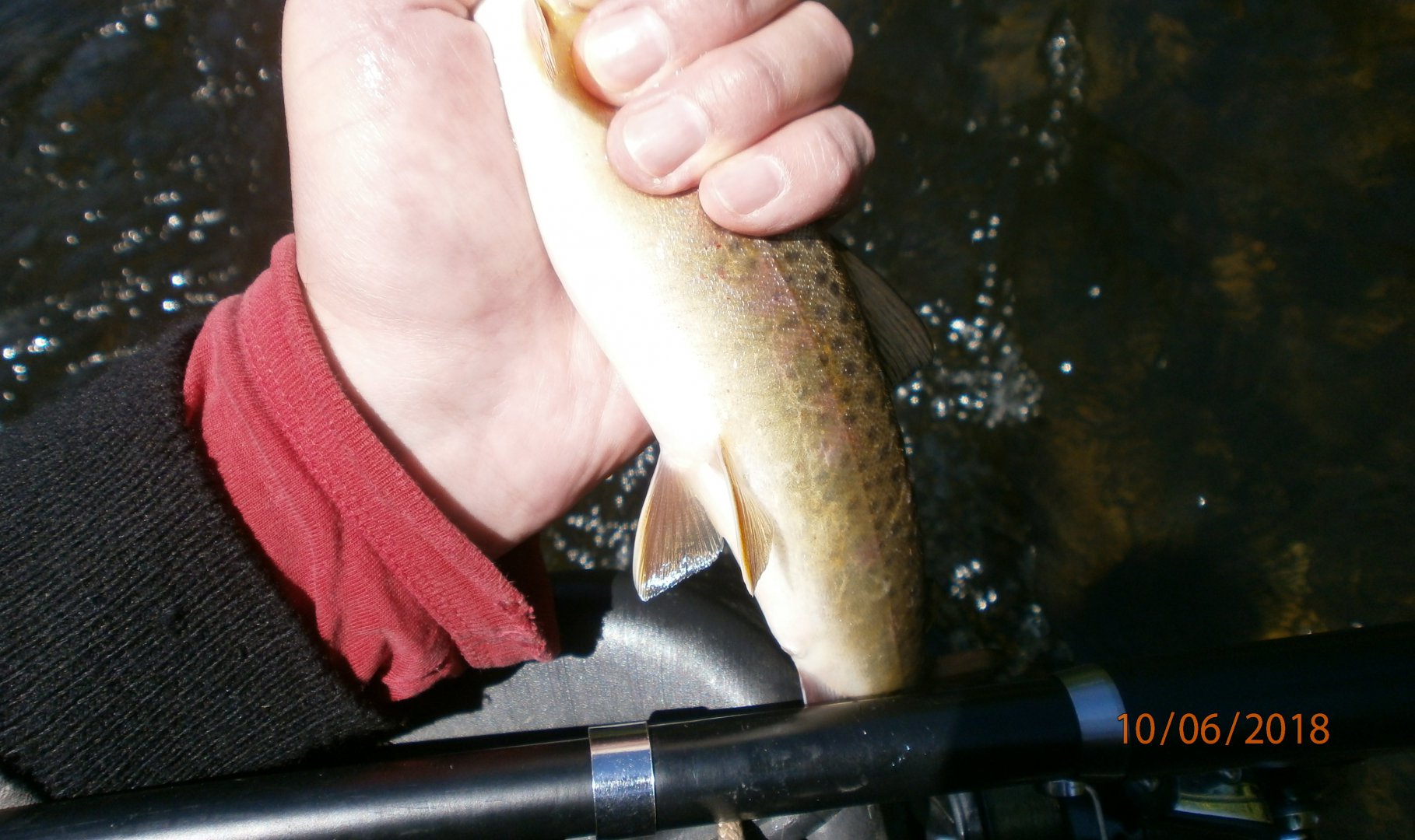 P6100016.JPG