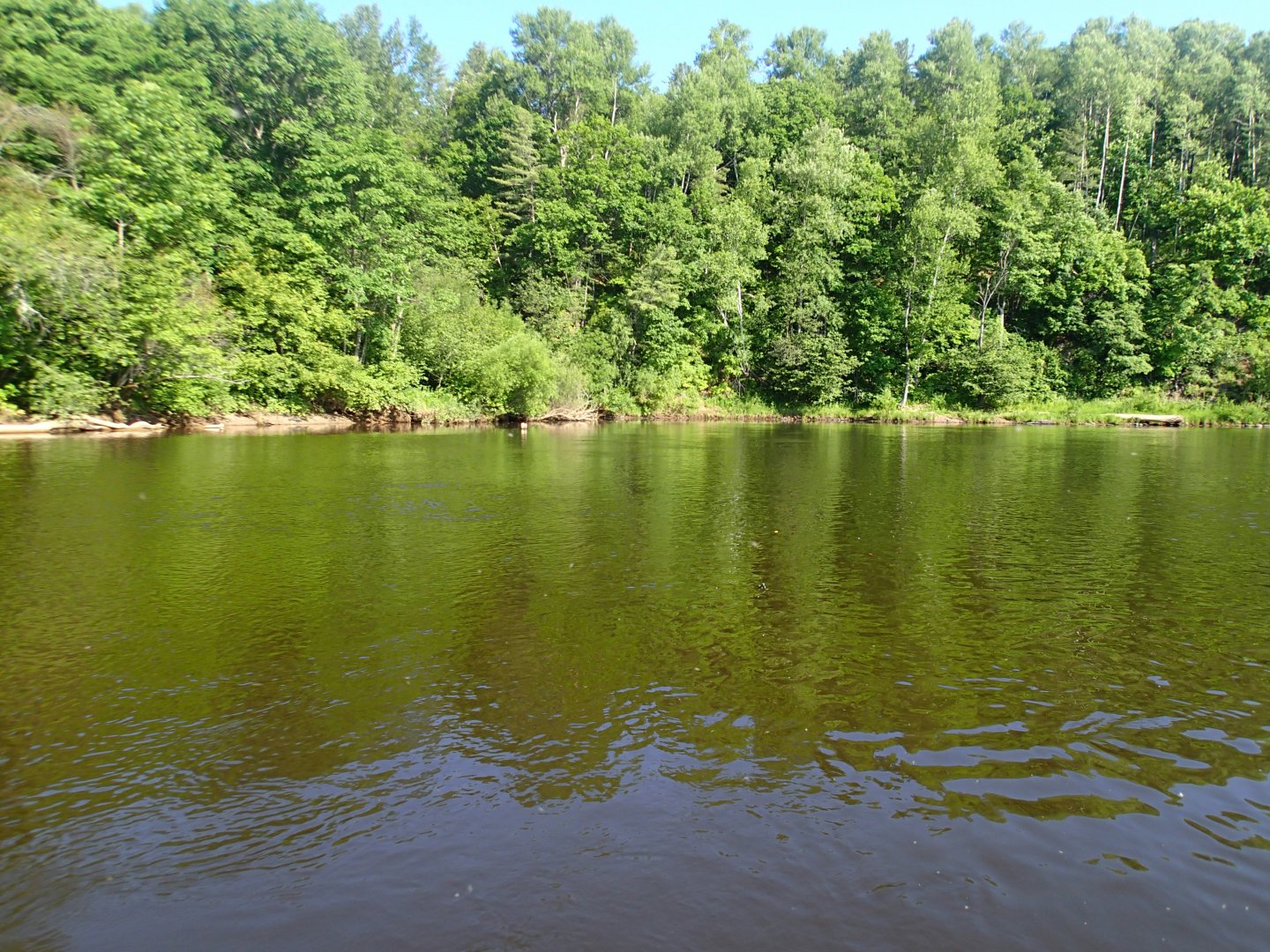 P6281653.JPG