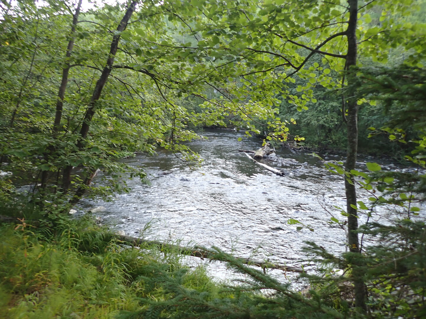 P9030043.JPG