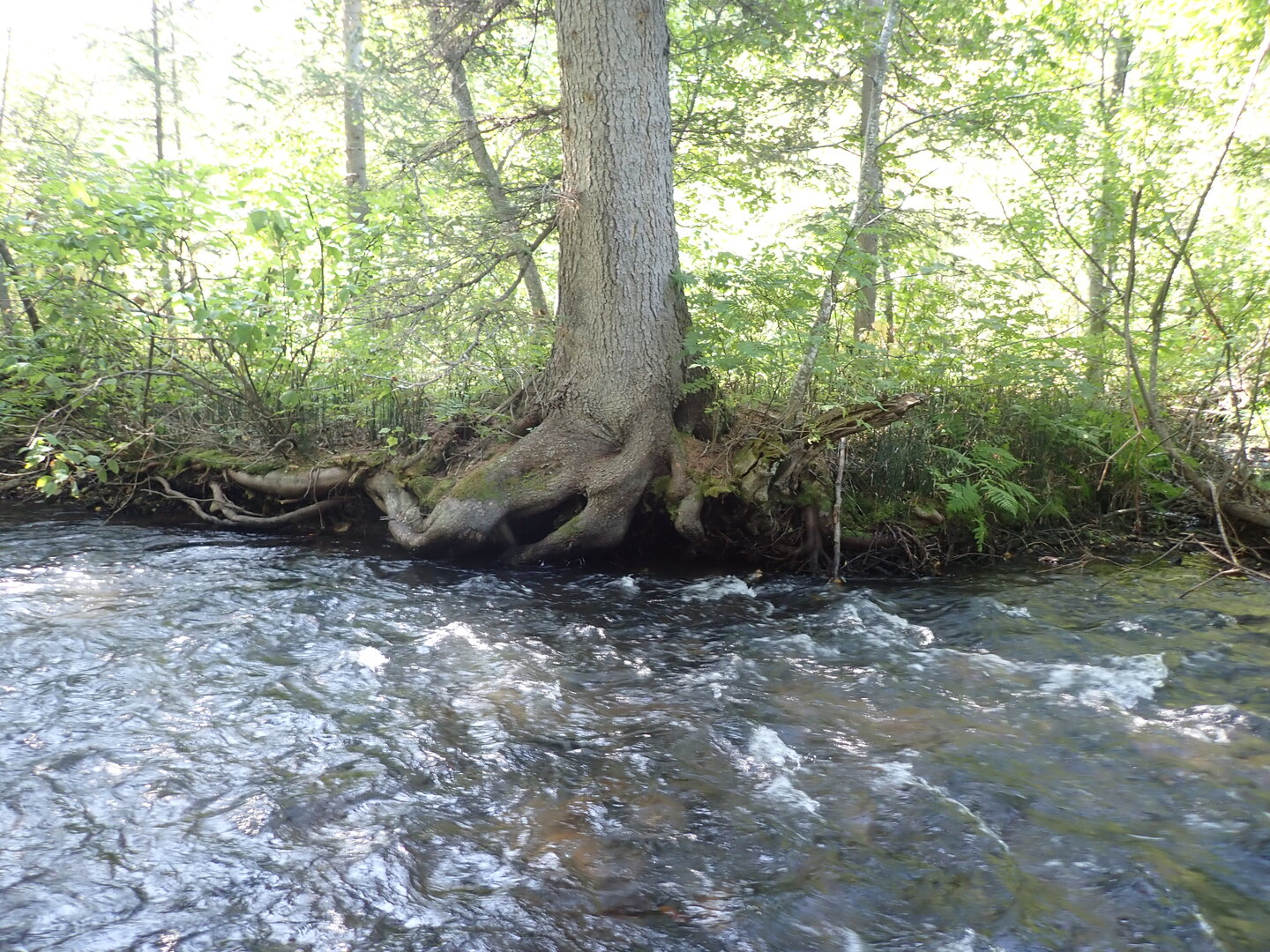 P9030075.JPG