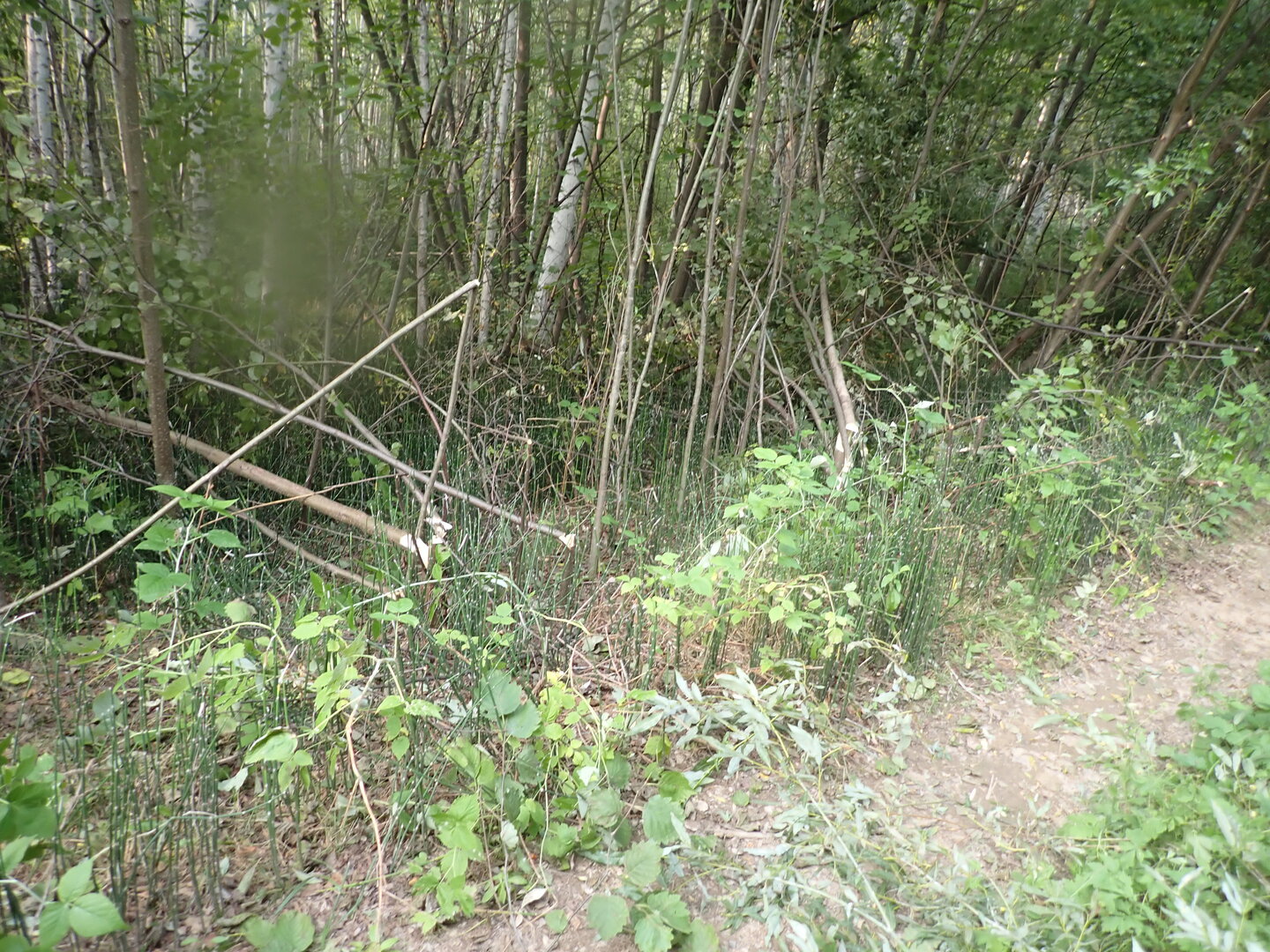P9050085.JPG
