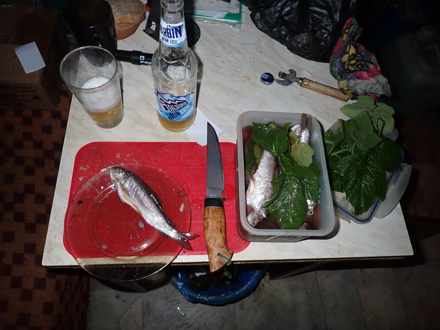 P9070090.JPG