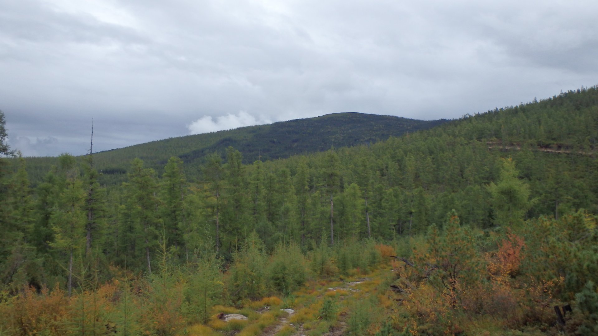 P9100008.JPG