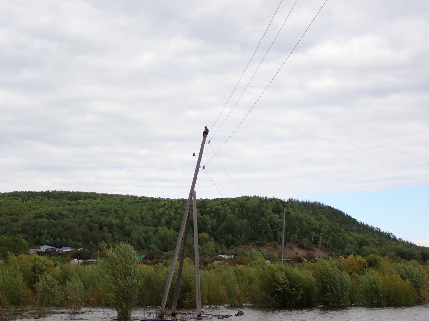 P9120157.JPG