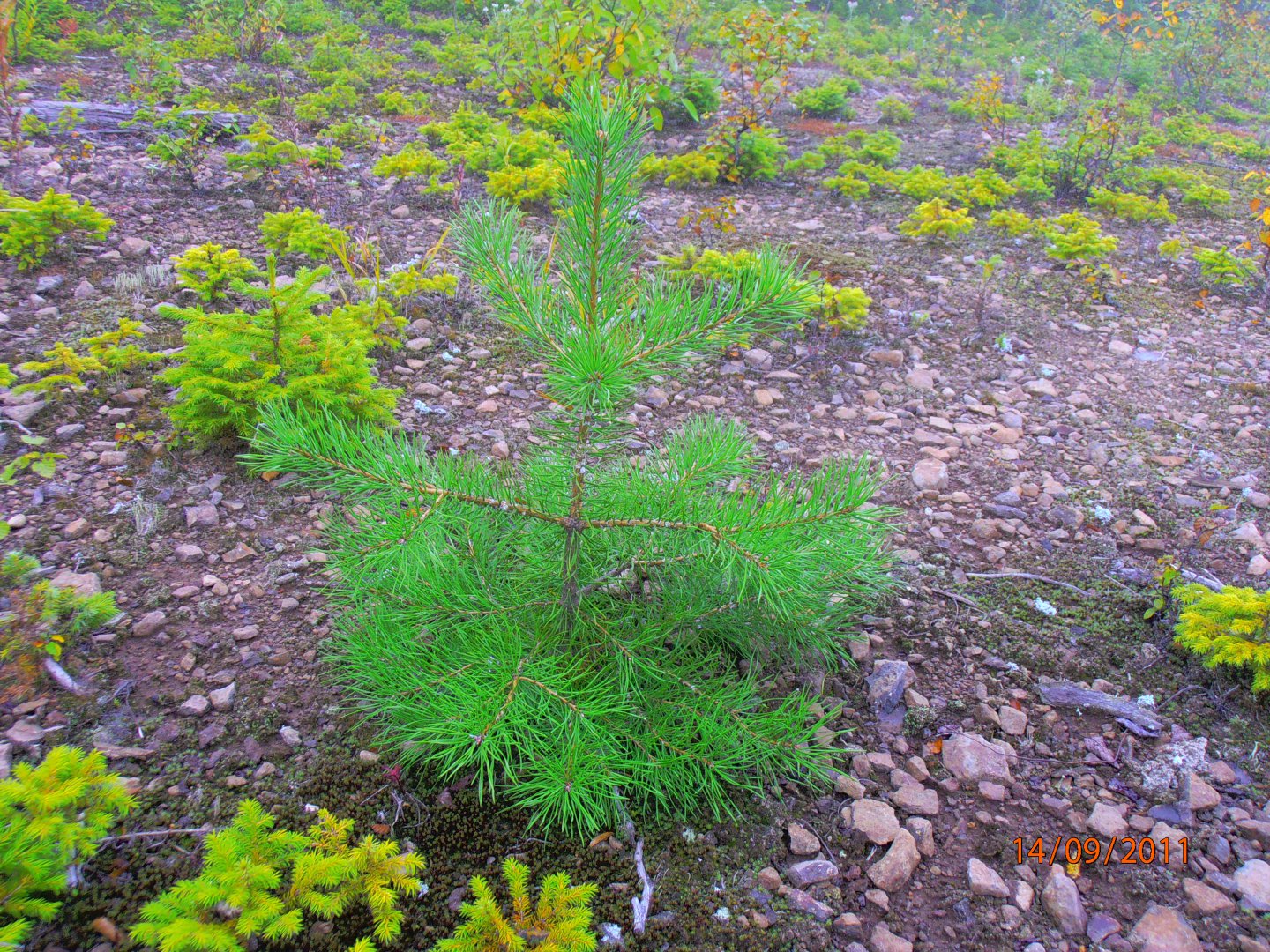 P9140056.JPG