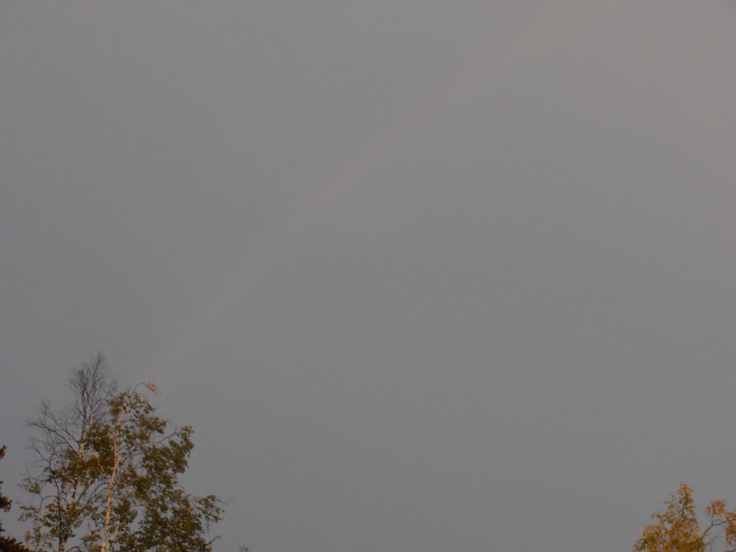 P9190083.JPG
