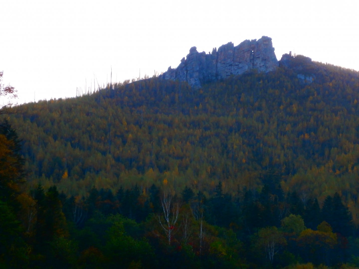 P9240117.JPG