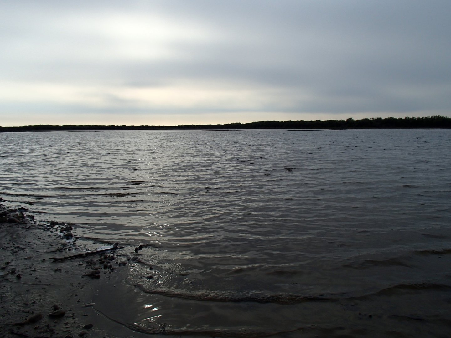 P9300020.JPG