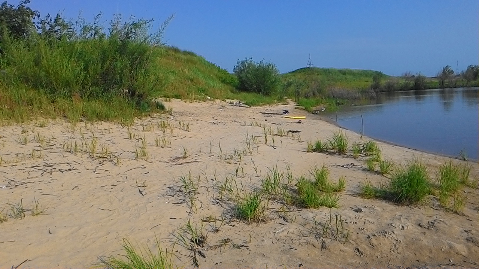 P_20150710_081247.jpg