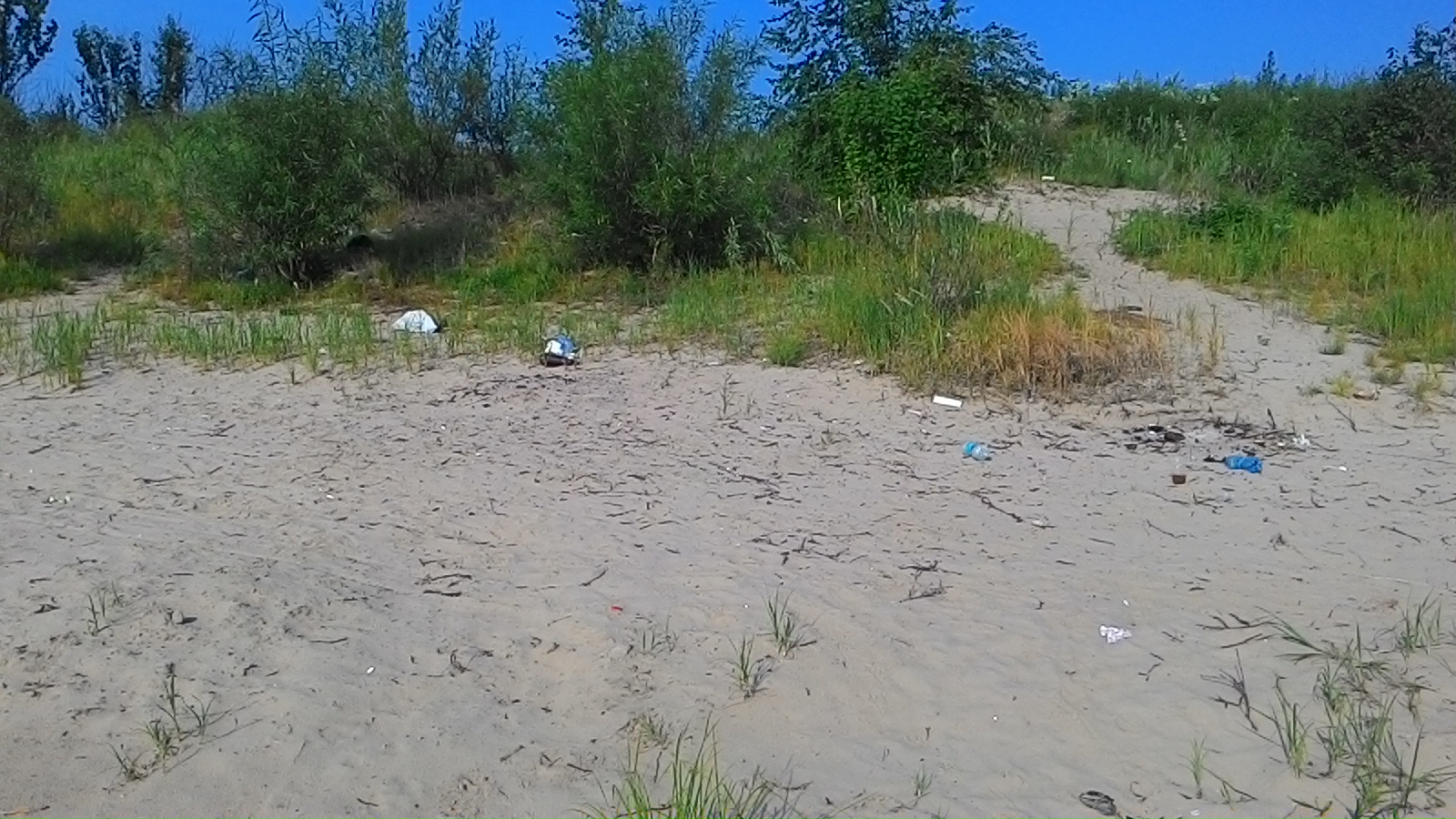 P_20150710_081250.jpg
