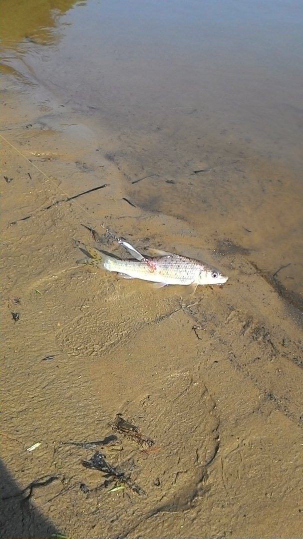 P_20150710_093900.jpg