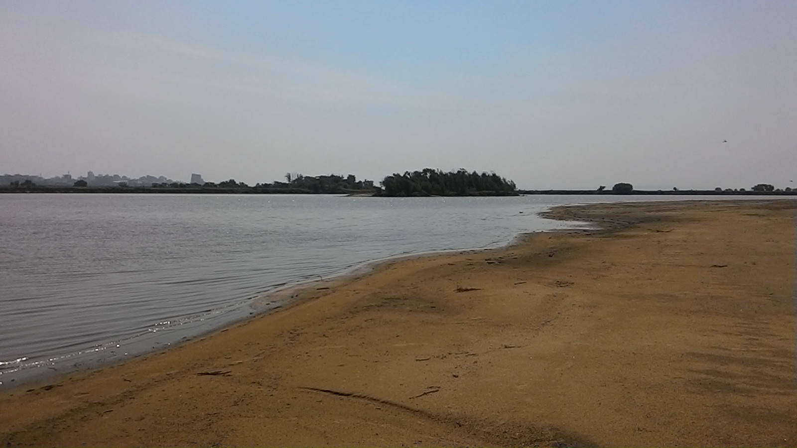 P_20150710_111724.jpg